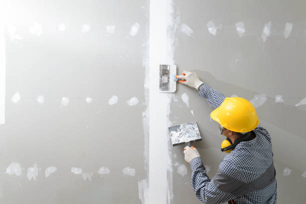 Best Drywall Repair  in USA